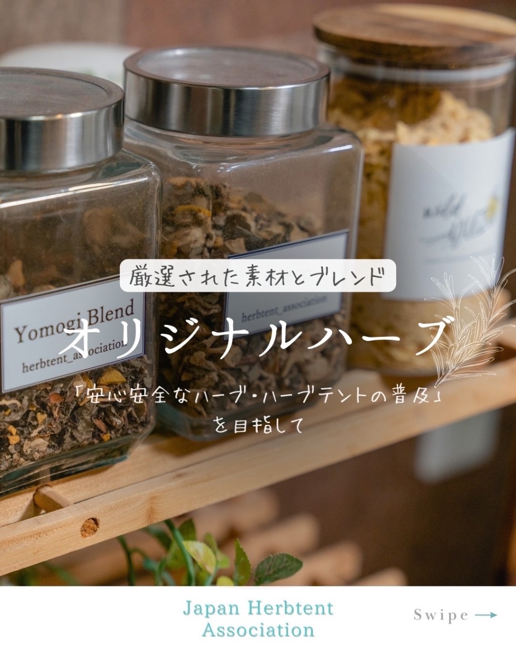 厳選されたハーブ